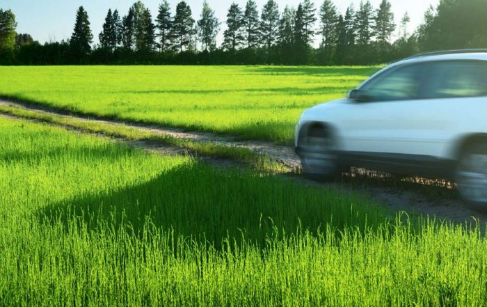 Taxation advice on your vehicle.