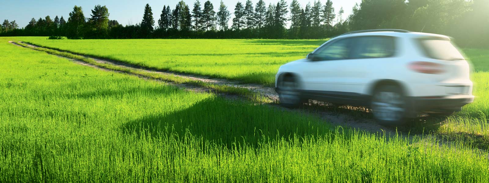 Taxation advice on your vehicle.